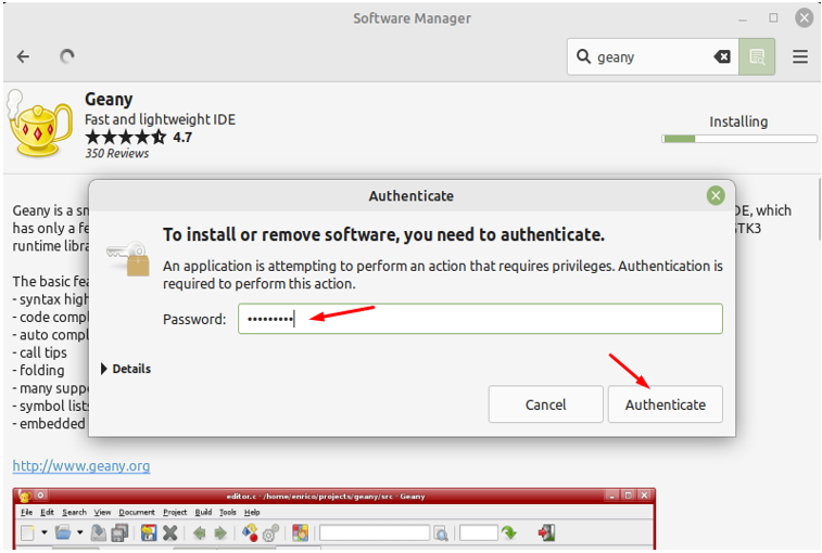 provide the system password for authentication