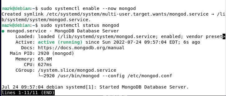 Start and Enable MongoDB