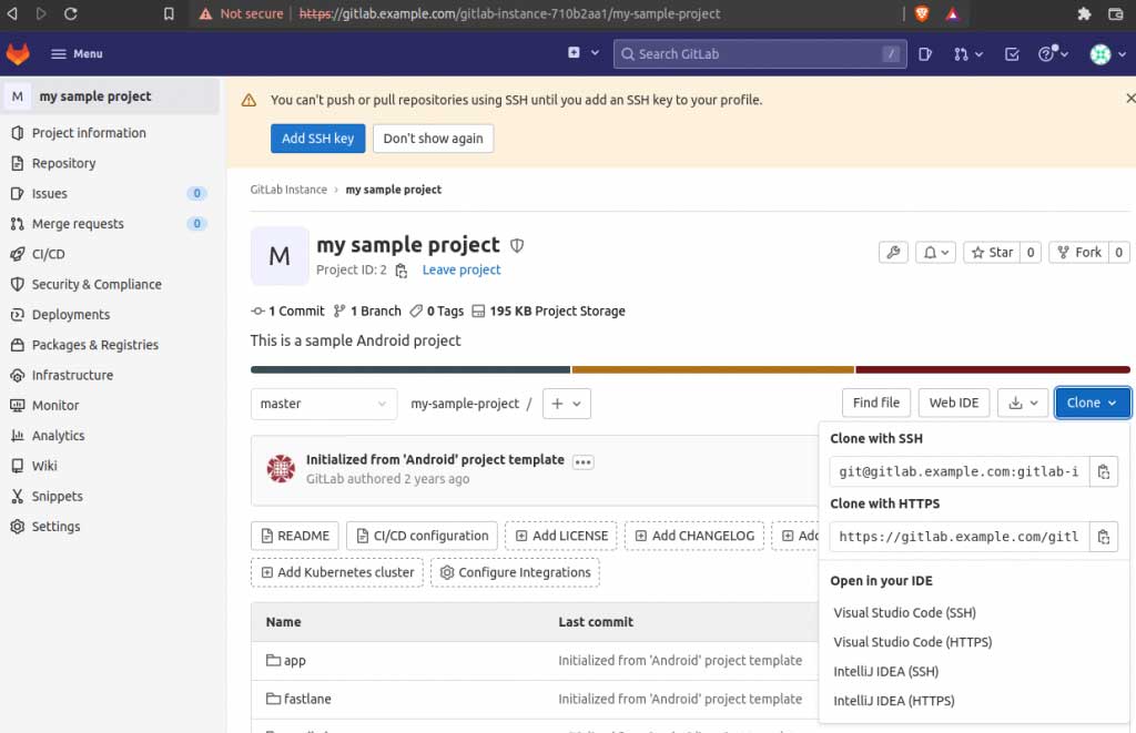 Access GitLab using HTTPS