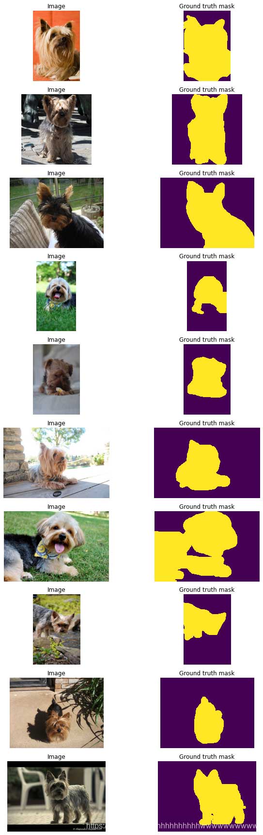 Define a function to visualize images and their labels
