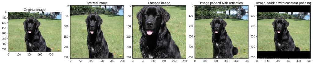 Image sizes for training and prediction