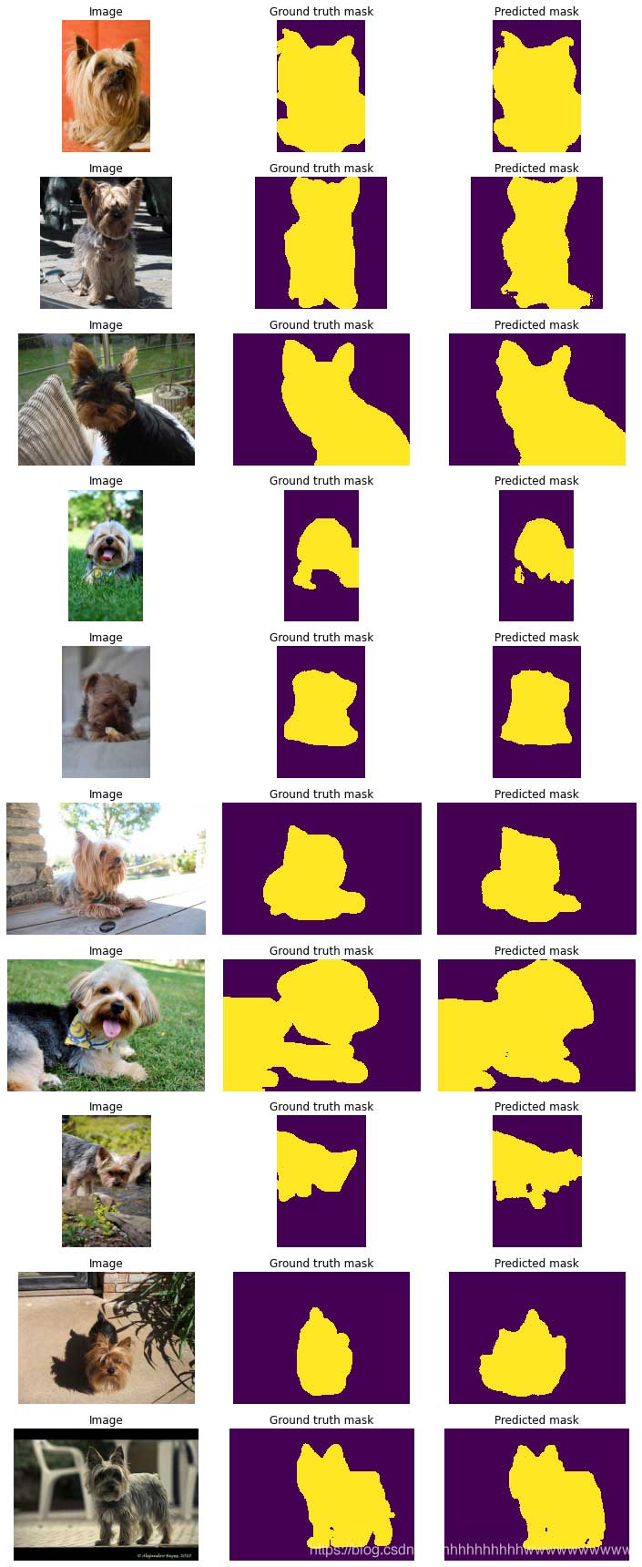 Predicting image labels and visualizing these predictions