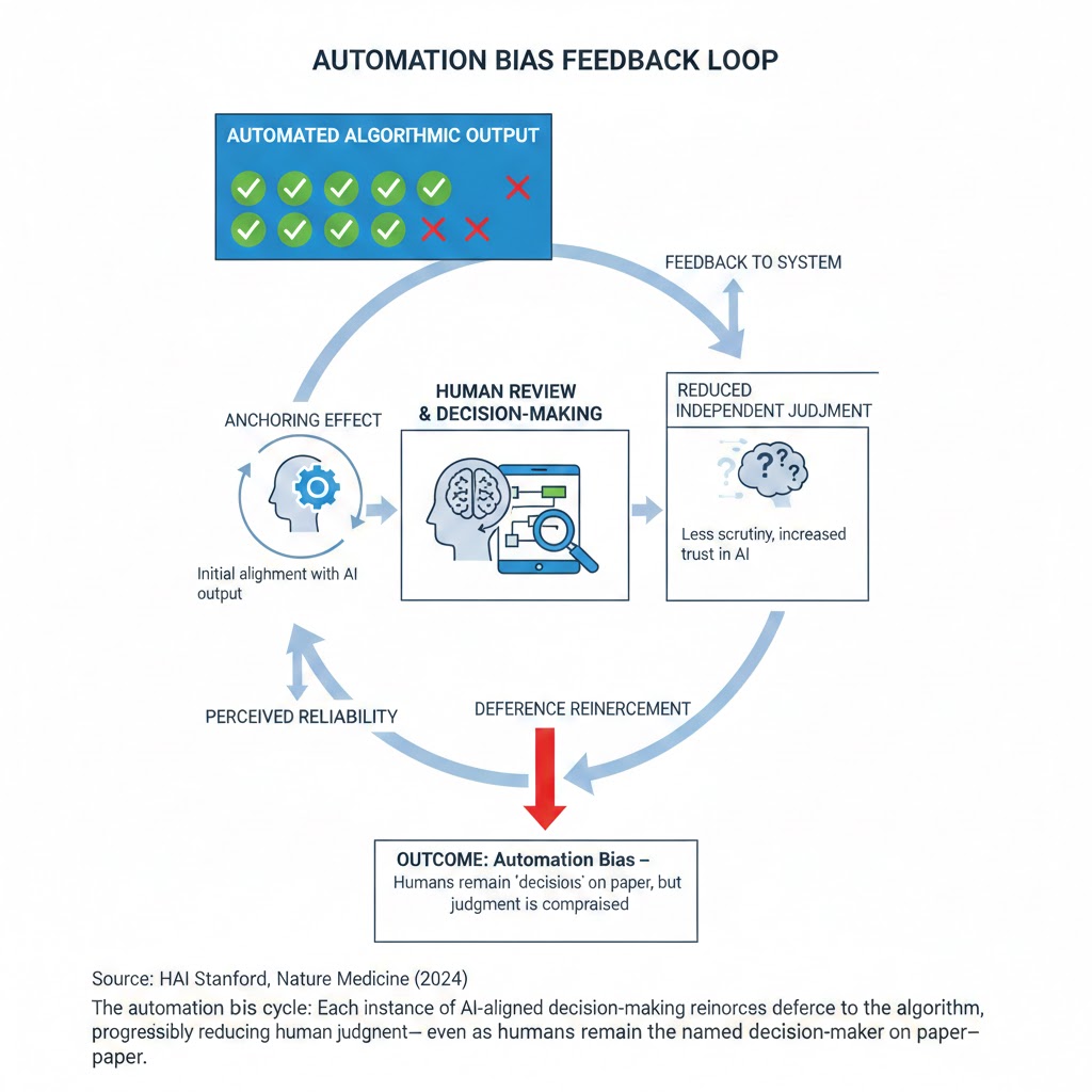 Automation bias feedback loop diagram showing how algorithmic outputs anchor human review, reducing independent judgment over time