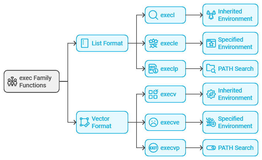 What are the exec Family Functions?