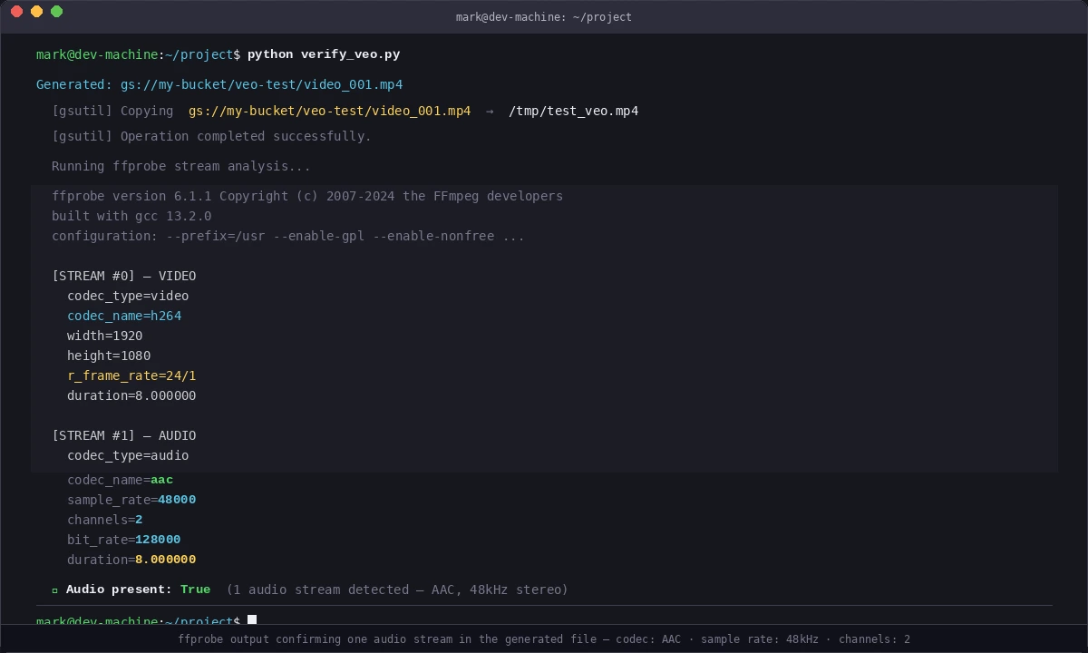 Terminal output showing ffprobe stream info with audio track confirmed