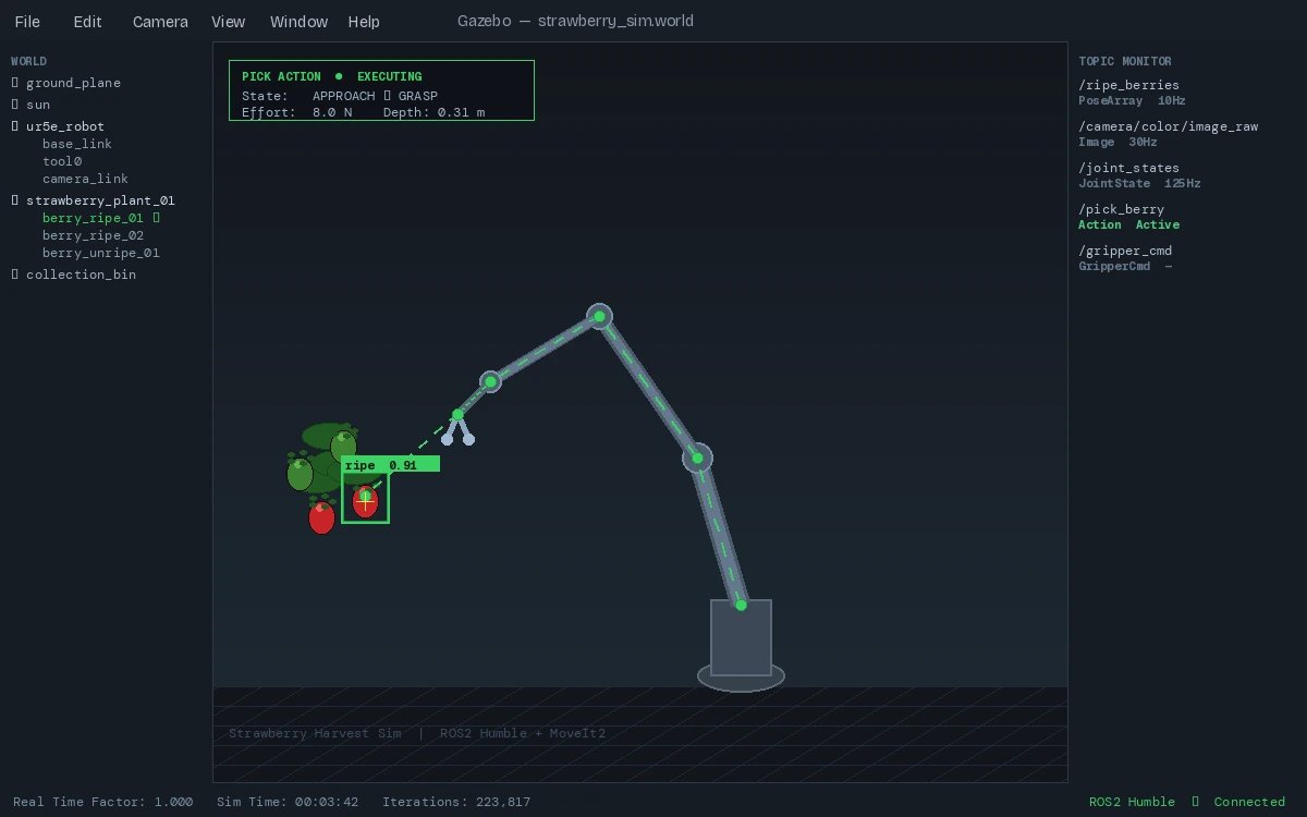 Gazebo simulation showing robot arm picking simulated strawberry